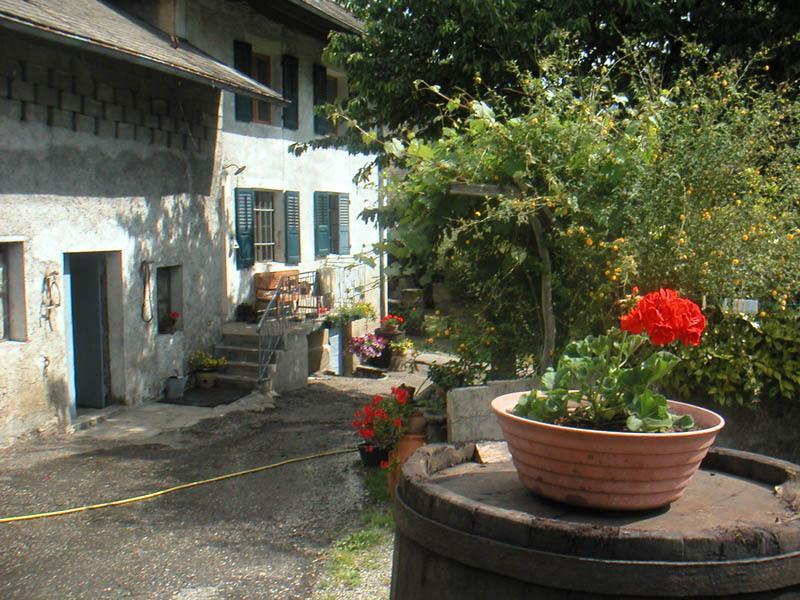 Domaine de la Safranière - Chambre d'hote Saint-Léger Esterno foto