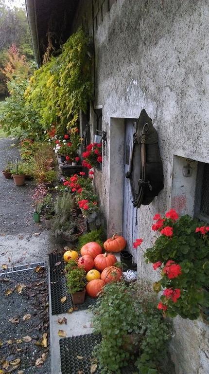 Domaine de la Safranière - Chambre d'hote Saint-Léger Esterno foto