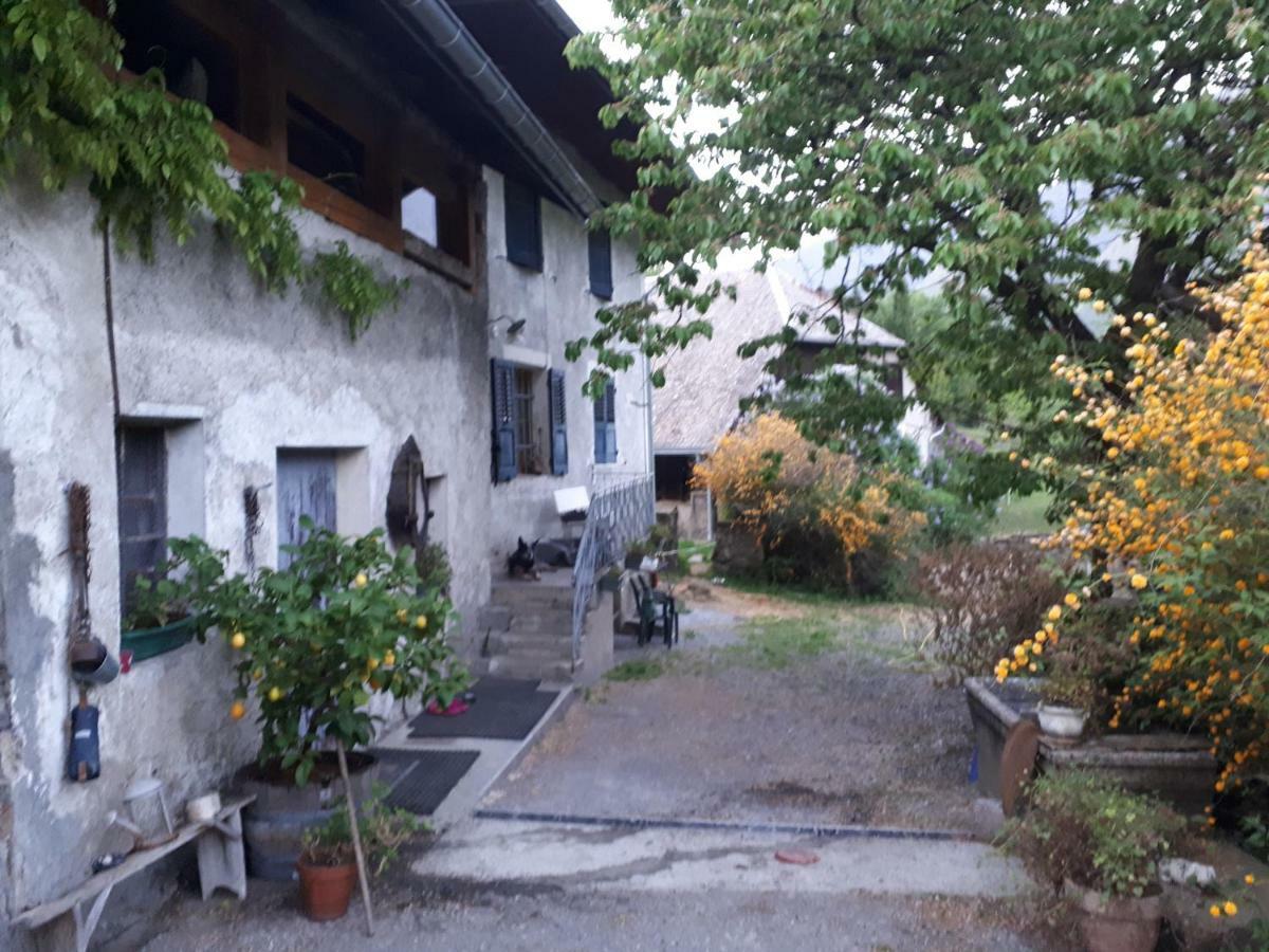Domaine de la Safranière - Chambre d'hote Saint-Léger Esterno foto